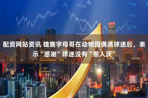 配资网站资讯 雄鹿字母哥在动物园偶遇球迷后，表示“感谢”球迷没有“惹人厌”